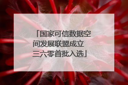 国家可信数据空间发展联盟成立 三六零首批入选