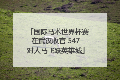 国际马术世界杯赛在武汉收官 547对人马飞跃英雄城