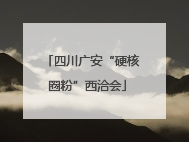 四川广安“硬核圈粉”西洽会