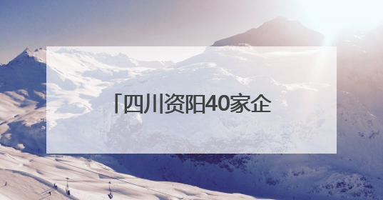 四川资阳40家企业携“拳头”产品参展 西博会打卡地铁上的创业城市