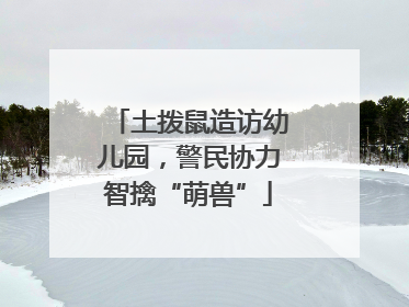 土拨鼠造访幼儿园，警民协力智擒“萌兽”