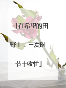 在希望的田野上：三夏时节丰收忙