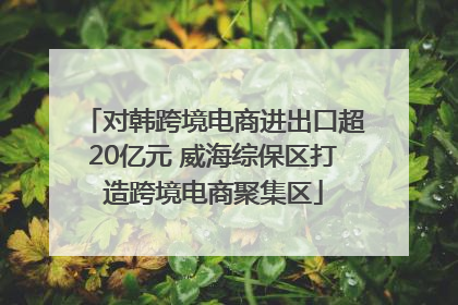 对韩跨境电商进出口超20亿元 威海综保区打造跨境电商聚集区