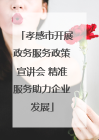 孝感市开展政务服务政策宣讲会 精准服务助力企业发展