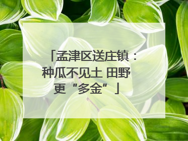 孟津区送庄镇：种瓜不见土 田野更“多金”