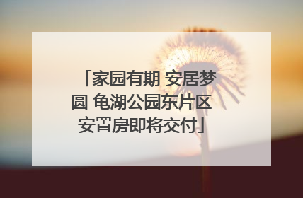 家园有期 安居梦圆 龟湖公园东片区安置房即将交付