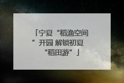 宁夏“稻渔空间”开园 解锁初夏“稻田游”