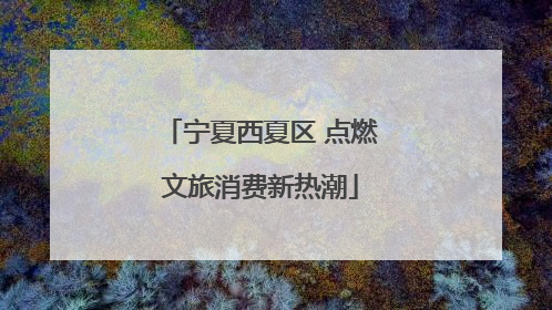 宁夏西夏区 点燃文旅消费新热潮