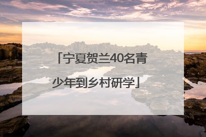 宁夏贺兰40名青少年到乡村研学