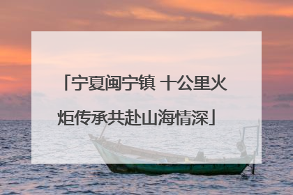 宁夏闽宁镇 十公里火炬传承共赴山海情深