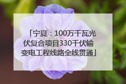 宁夏：100万千瓦光伏复合项目330千伏输变电工程线路全线贯通