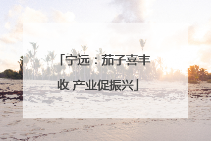 宁远：茄子喜丰收 产业促振兴