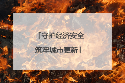 守护经济安全 筑牢城市更新