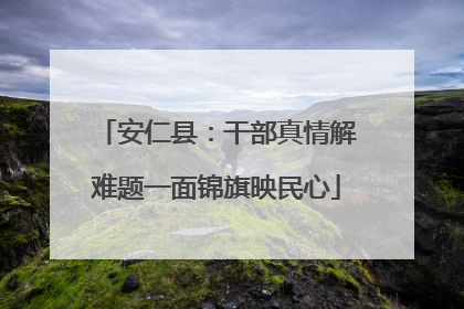 安仁县：干部真情解难题一面锦旗映民心