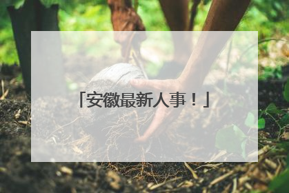 安徽最新人事！