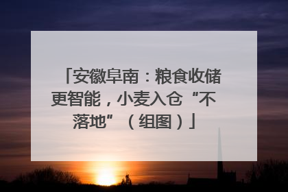 安徽阜南：粮食收储更智能，小麦入仓“不落地”（组图）
