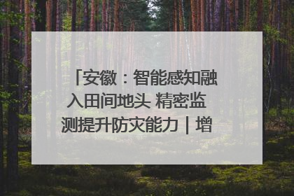 安徽：智能感知融入田间地头 精密监测提升防灾能力｜增发国债气象项目落地见效系列报道