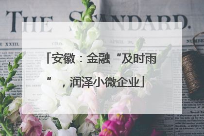 安徽：金融“及时雨”，润泽小微企业