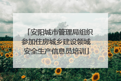 安阳城市管理局组织参加住房城乡建设领域安全生产信息员培训