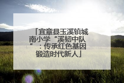 宜章县玉溪镇城南小学“溪韧中队”：传承红色基因 锻造时代新人