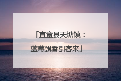 宜章县天塘镇：蓝莓飘香引客来