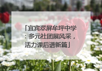 宜宾翠屏牟坪中学：多元社团展风采，活力课后谱新篇