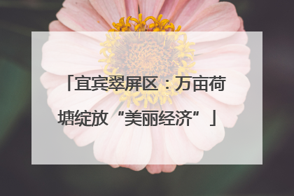 宜宾翠屏区：万亩荷塘绽放“美丽经济”
