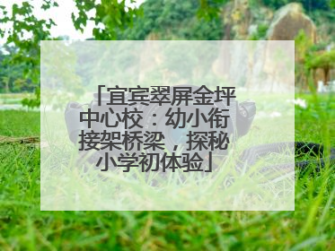 宜宾翠屏金坪中心校：幼小衔接架桥梁，探秘小学初体验