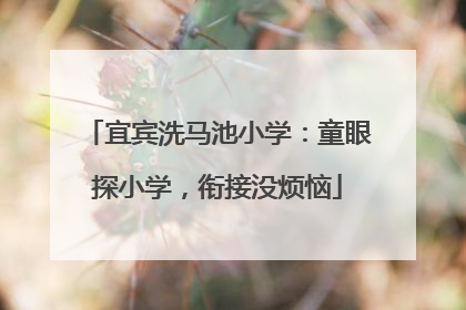 宜宾洗马池小学：童眼探小学，衔接没烦恼