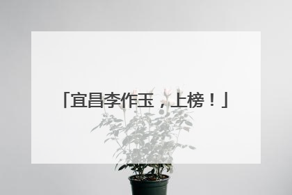 宜昌李作玉，上榜！