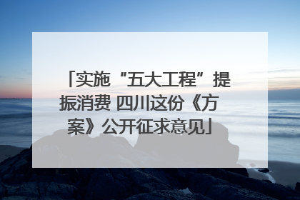 实施“五大工程”提振消费 四川这份《方案》公开征求意见