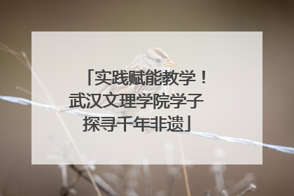 实践赋能教学！武汉文理学院学子探寻千年非遗