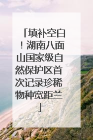 填补空白！湖南八面山国家级自然保护区首次记录珍稀物种宽距兰