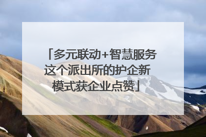 多元联动+智慧服务 这个派出所的护企新模式获企业点赞