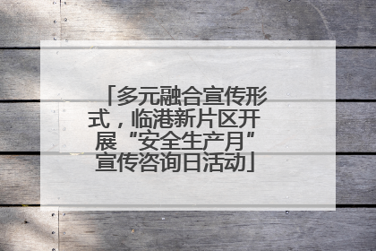 多元融合宣传形式，临港新片区开展“安全生产月”宣传咨询日活动
