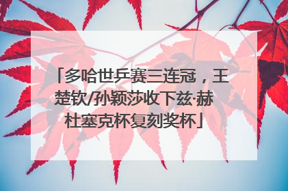 多哈世乒赛三连冠，王楚钦/孙颖莎收下兹·赫杜塞克杯复刻奖杯