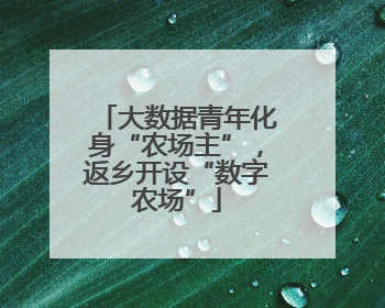大数据青年化身“农场主”，返乡开设“数字农场”