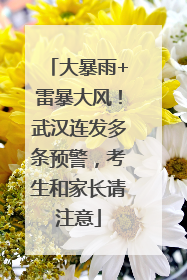 大暴雨+雷暴大风！武汉连发多条预警，考生和家长请注意