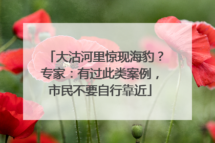 大沽河里惊现海豹？专家：有过此类案例，市民不要自行靠近