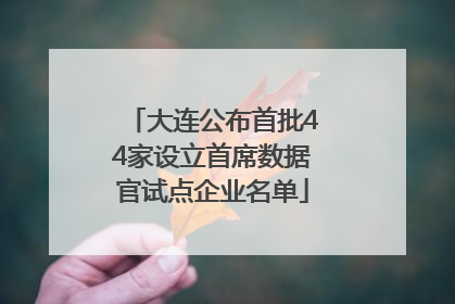 大连公布首批44家设立首席数据官试点企业名单