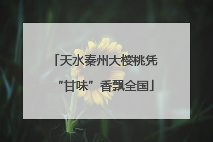 天水秦州大樱桃凭“甘味”香飘全国