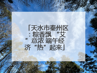 天水市秦州区：粽香飘 “艾”意浓 端午经济“热”起来
