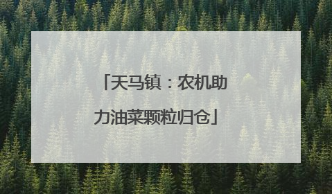 天马镇：农机助力油菜颗粒归仓