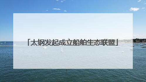 太钢发起成立船舶生态联盟