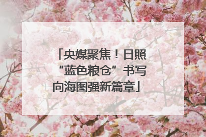 央媒聚焦！日照“蓝色粮仓”书写向海图强新篇章
