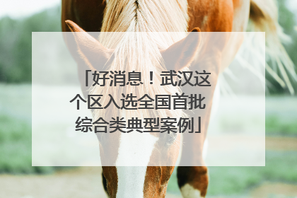好消息！武汉这个区入选全国首批综合类典型案例