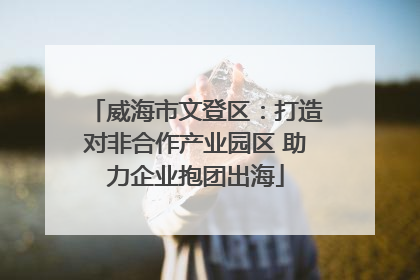 威海市文登区：打造对非合作产业园区 助力企业抱团出海