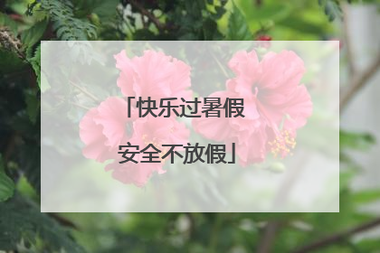 快乐过暑假 安全不放假