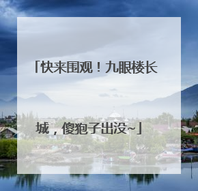 快来围观！九眼楼长城，傻狍子出没~