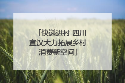 快递进村 四川宣汉大力拓展乡村消费新空间